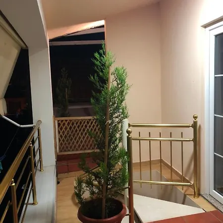 The Wanderers 2-nd Building شكودر